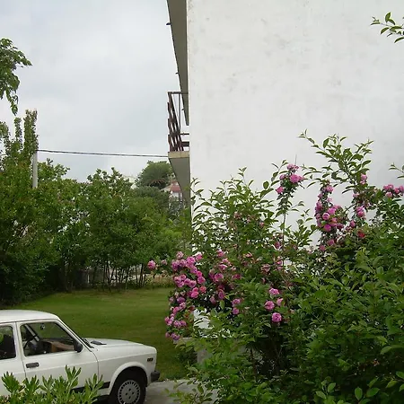 Apartmani Palit